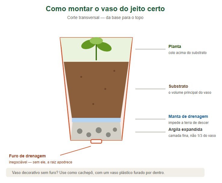 Infográfico com as camadas corretas de um vaso: drenagem, manta e substrato