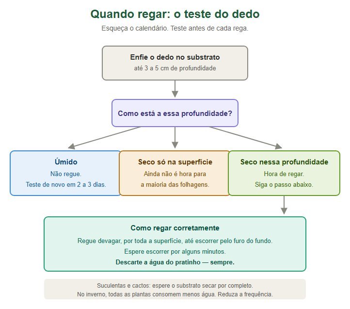 Fluxograma do teste do dedo para saber quando regar as plantas